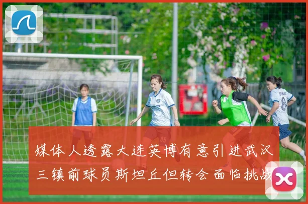 媒体人透露大连英博有意引进武汉三镇前球员斯坦丘但转会面临挑战