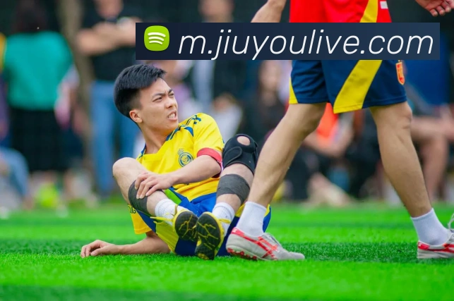 九游娱乐平台生态图