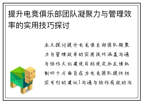 提升电竞俱乐部团队凝聚力与管理效率的实用技巧探讨