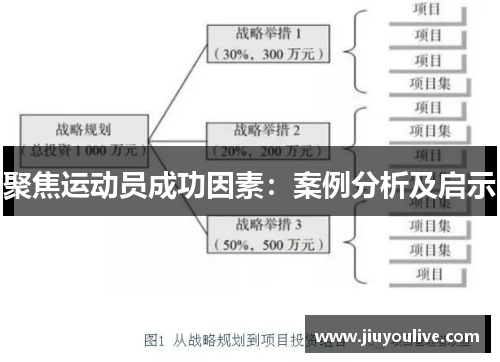 聚焦运动员成功因素：案例分析及启示